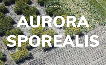 fields with text "Aurora Sporealis"
