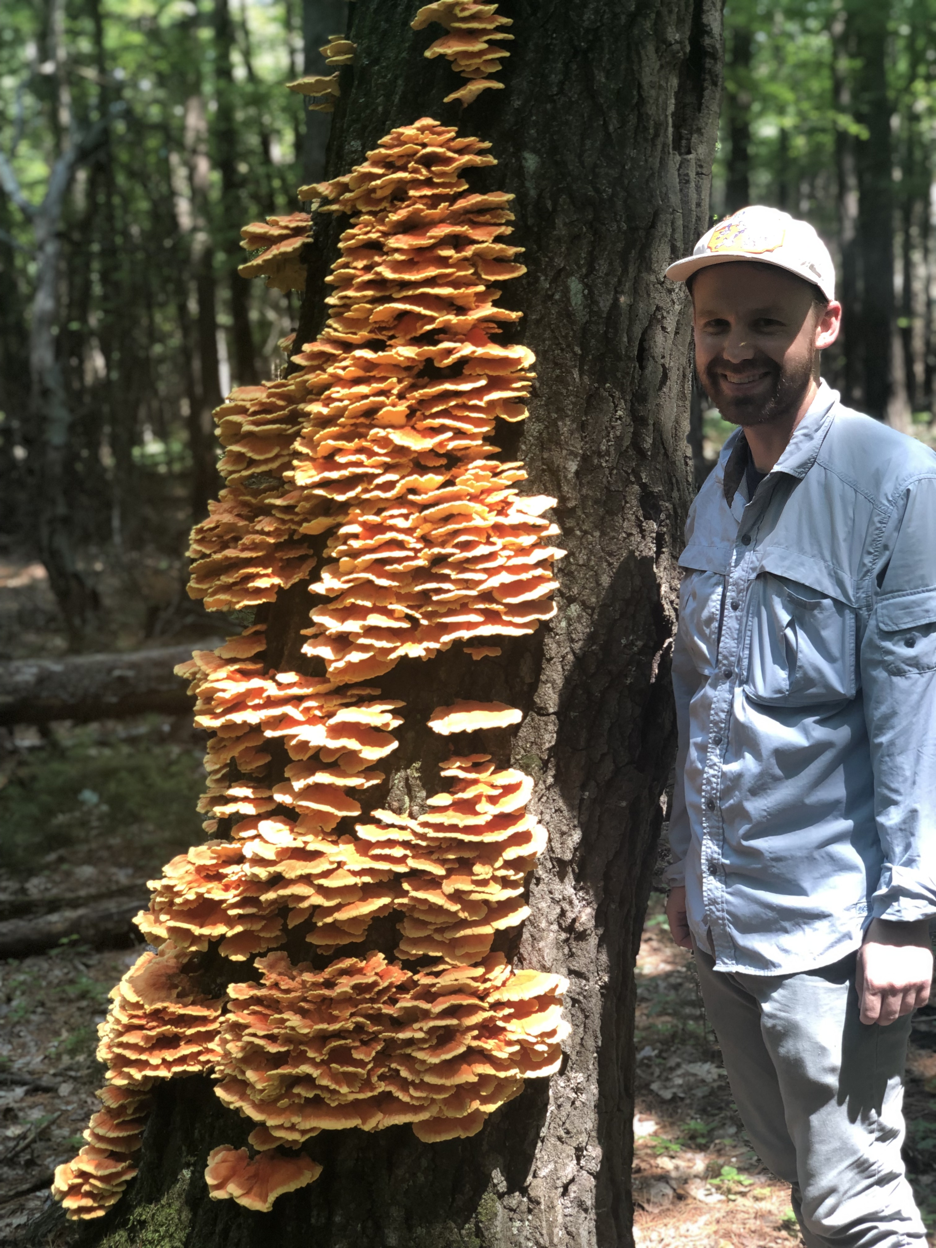 Andrew Mann stands in woods next to a Chicken of the Woods