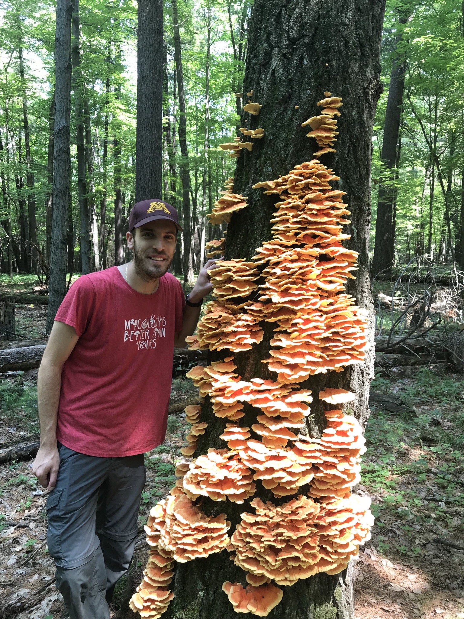 Nick Rajtar stands in the woods next to a large chicken of the woods mushroom 