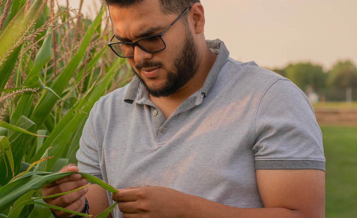 Jose Solorzano examining corn leaf