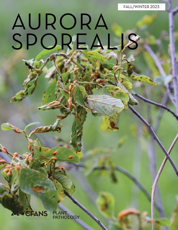 Aurora Sporealis fall/winter 2023 cover with image of rust on buckthorn