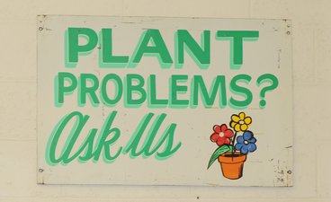 Vintage sign with a potted plant reading, "Plant problems? Ask us"