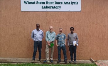 Pablo with stem rust research collaborators at the analysis lab in ethiopia
